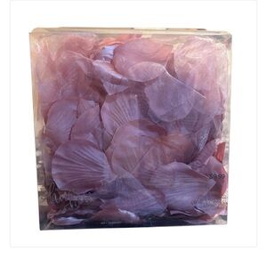 New-STUDIO His & Hers Mauve Pink Rose Petals in Clear Box